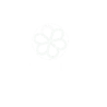 Pine & Lily